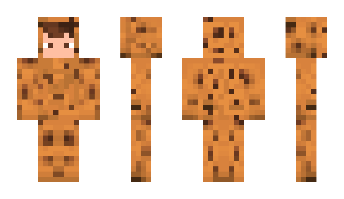 Stortney Minecraft Skin