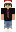 Neliz_ Minecraft Skin