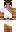 Litsword06 Minecraft Skin