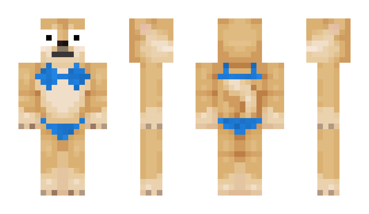 wyd_logan14 Minecraft Skin