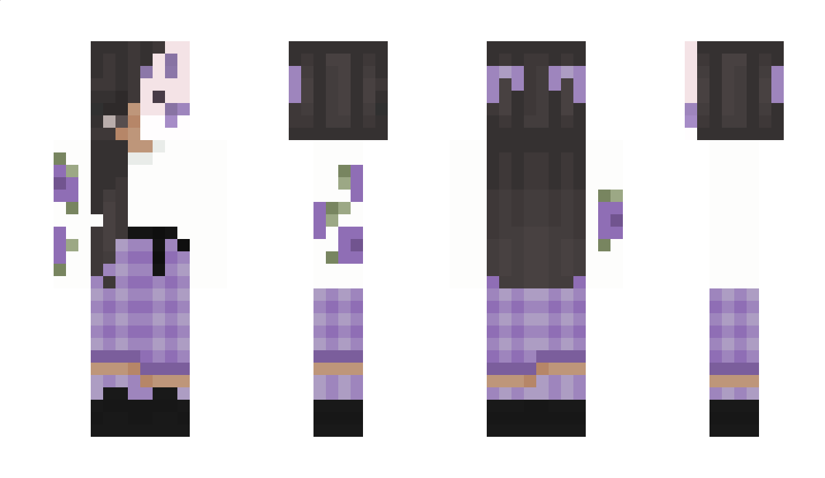 ramastercraft Minecraft Skin