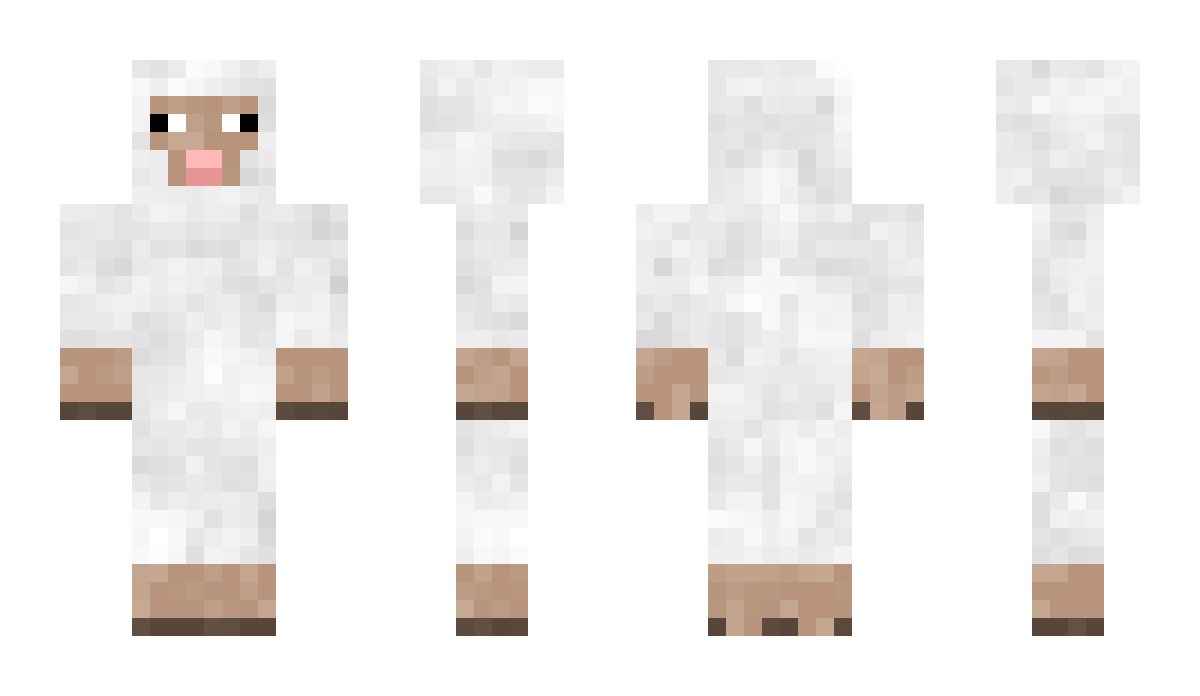 Minizarbi Minecraft Skin