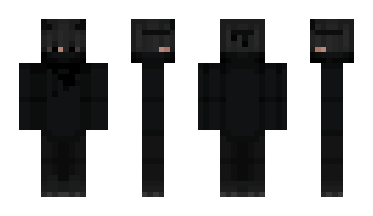 VDIS Minecraft Skin