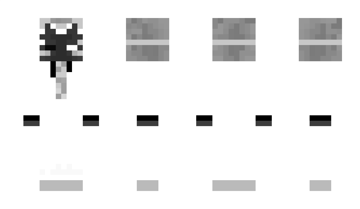 C245 Minecraft Skin