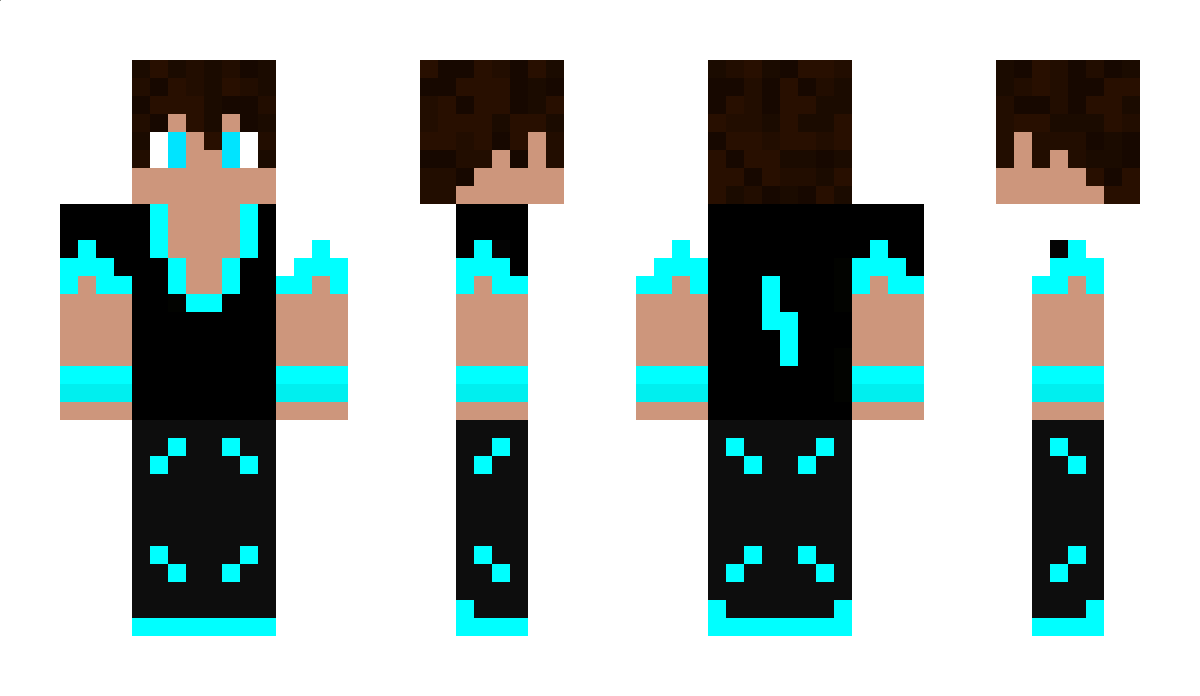 Funds Minecraft Skin