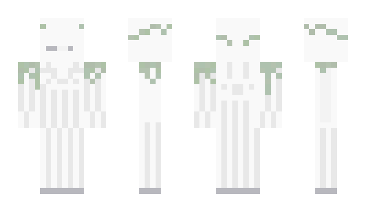 _Tandborste Minecraft Skin