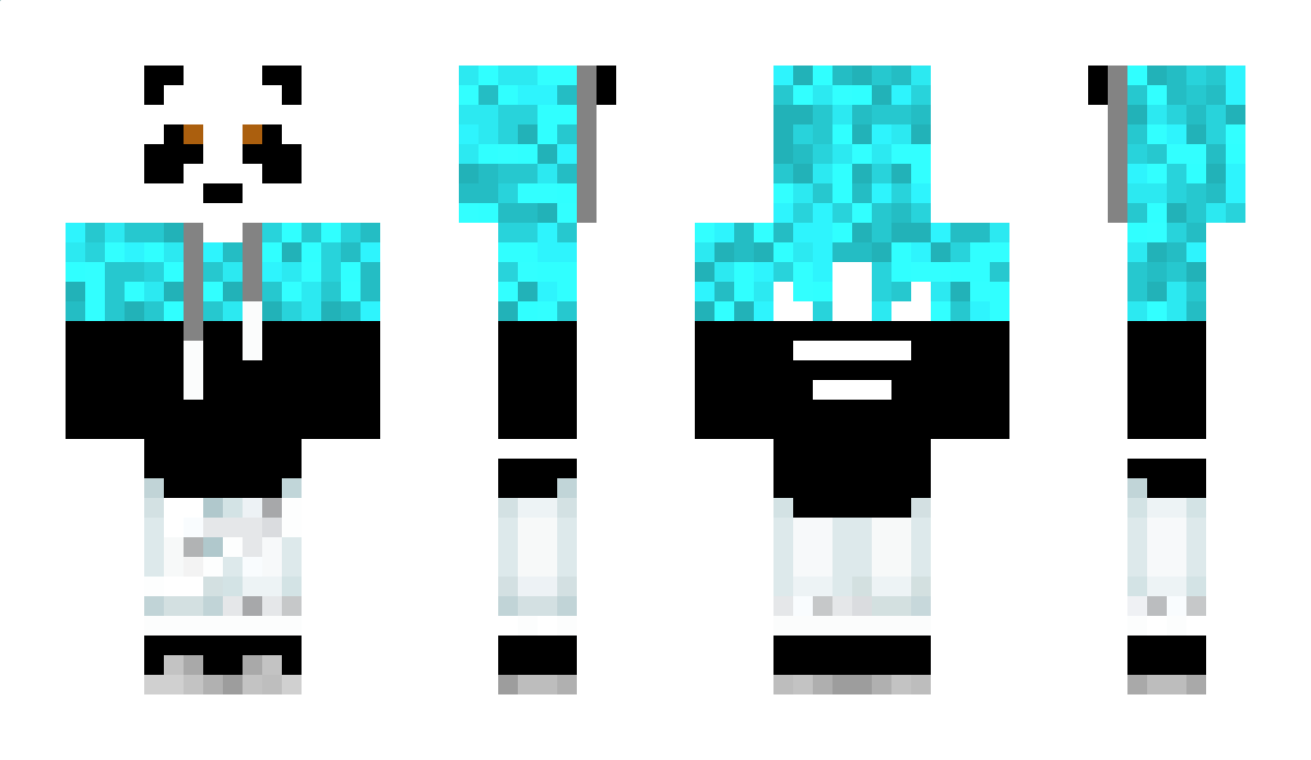 Panda_junior Minecraft Skin