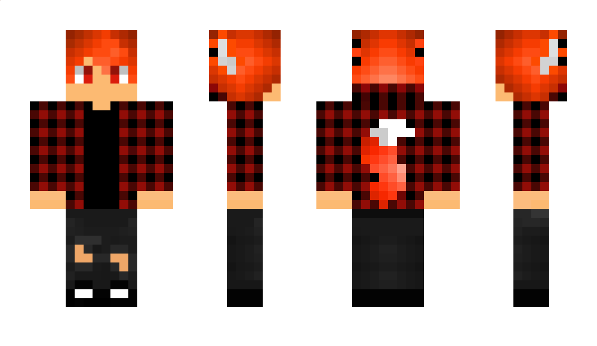 RedRobin Minecraft Skin