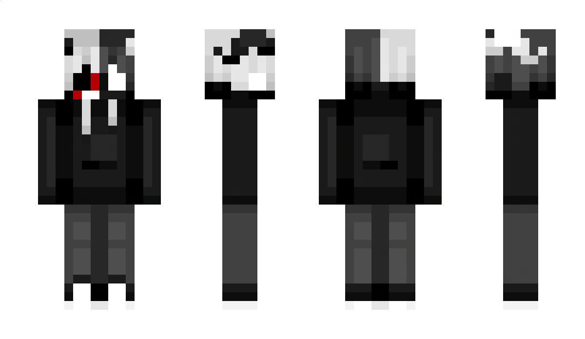 Anejin359pro Minecraft Skin