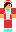 NakamuWT Minecraft Skin