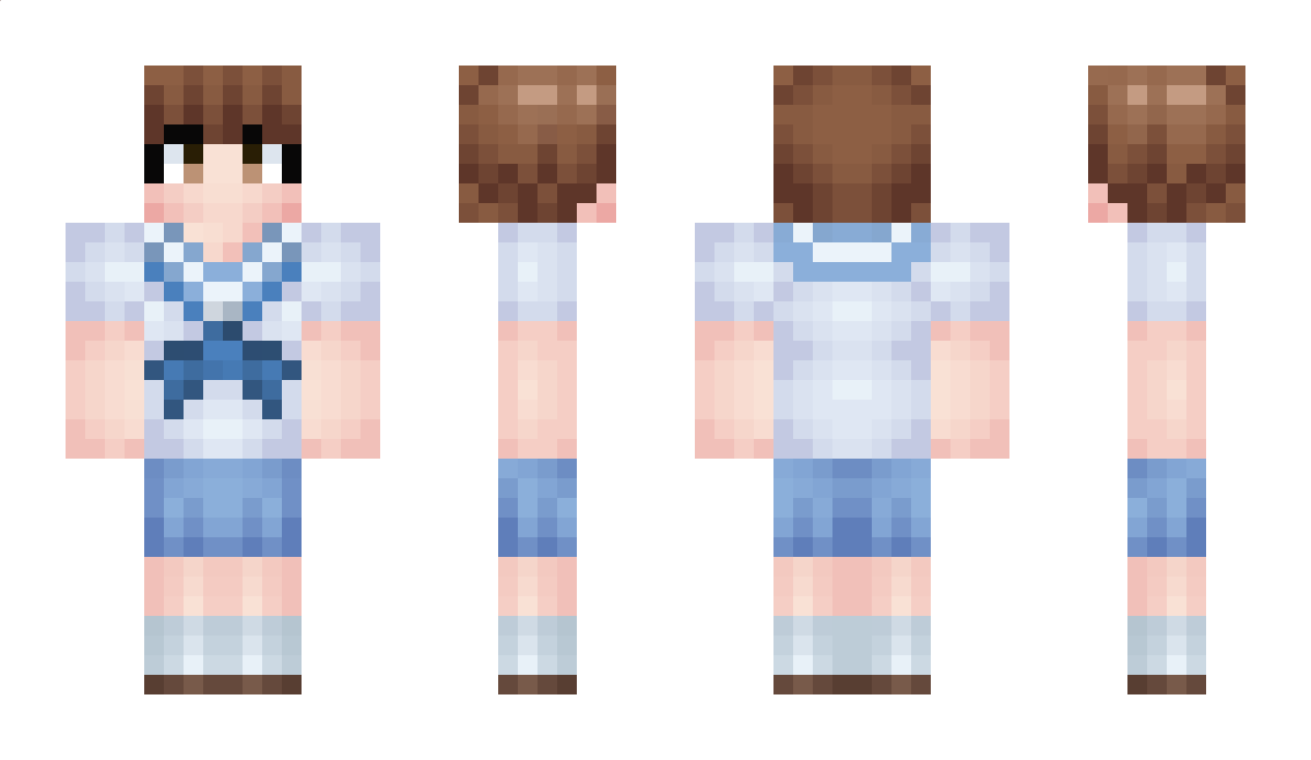 Steps Minecraft Skin