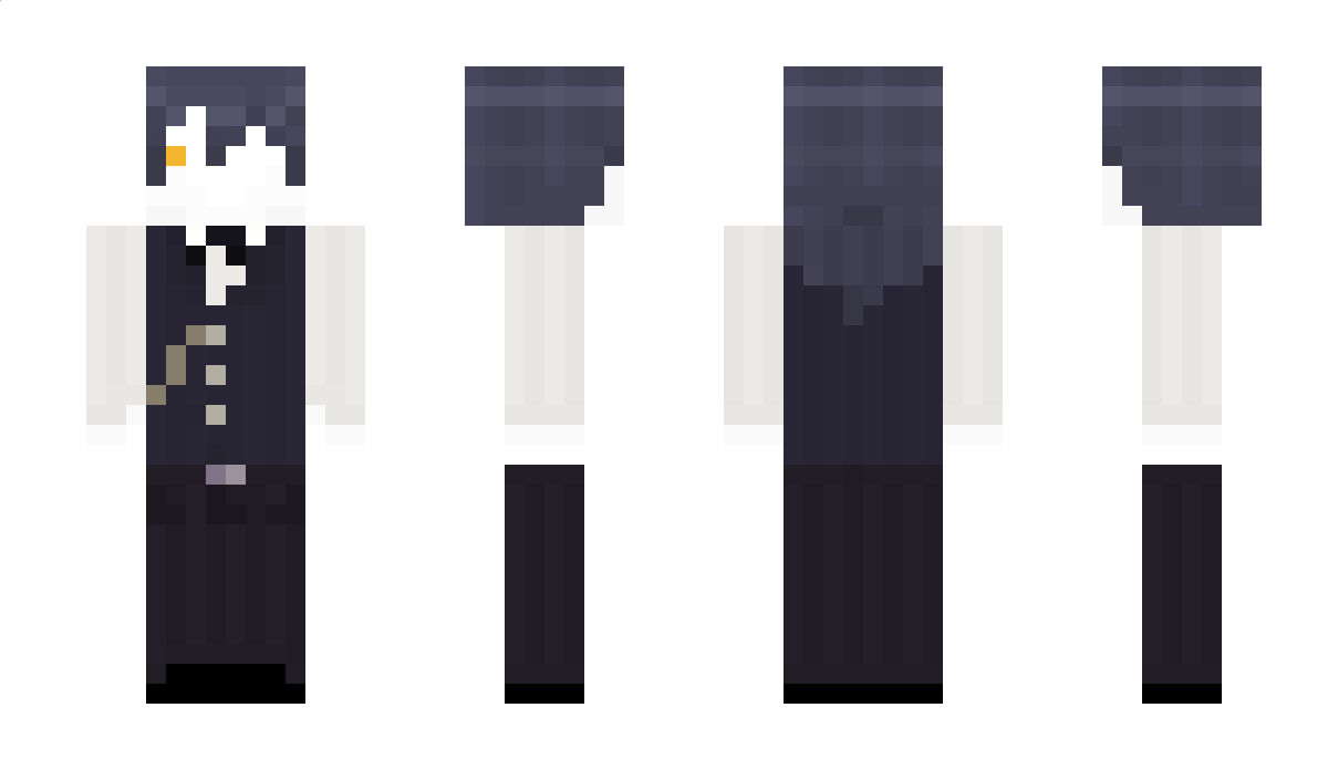 pokuls Minecraft Skin