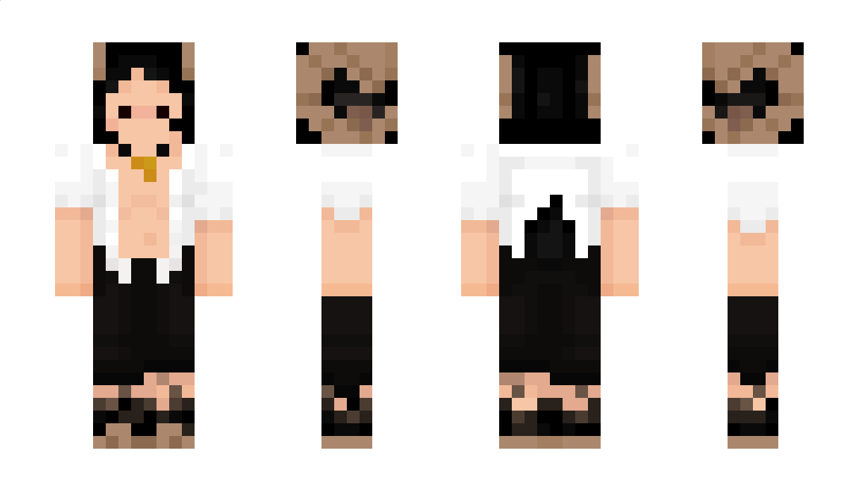 PlanetsInPockets Minecraft Skin