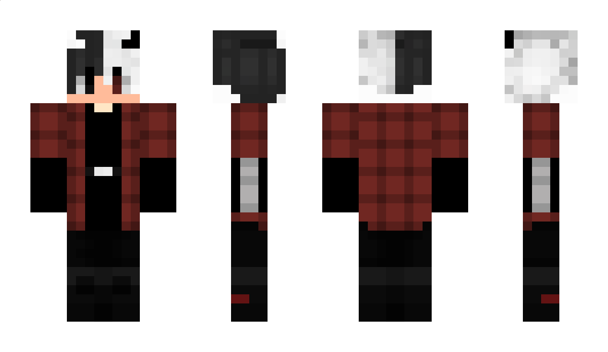 4d33_L Minecraft Skin