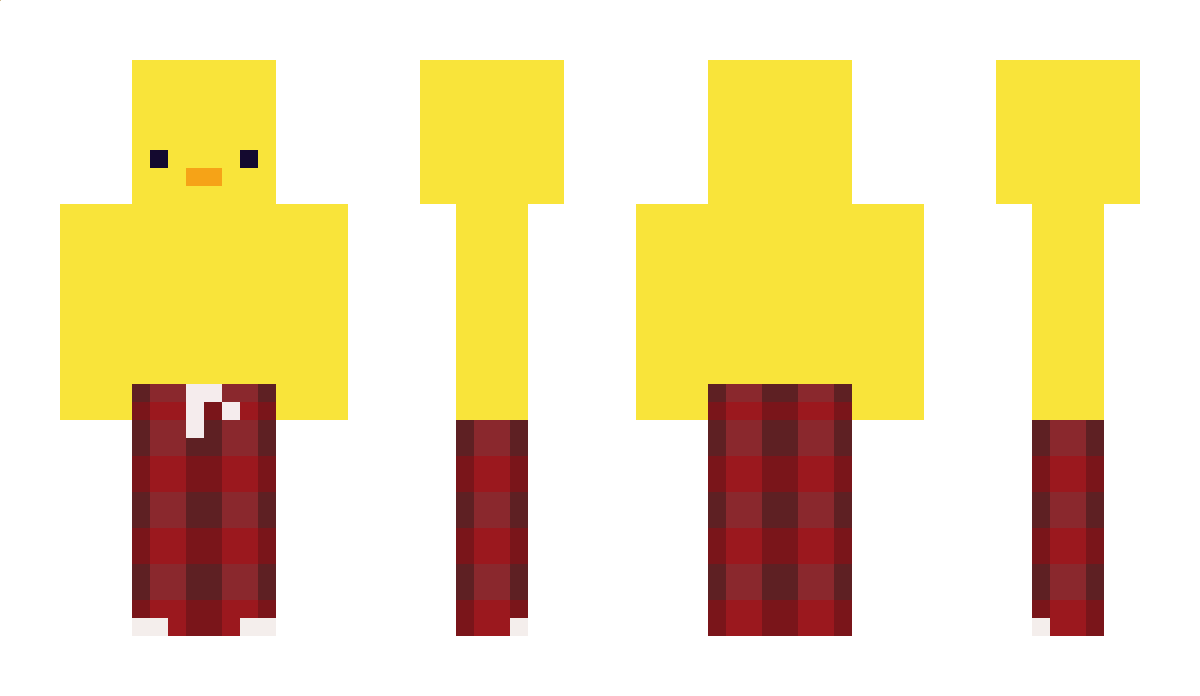 Woarti Minecraft Skin
