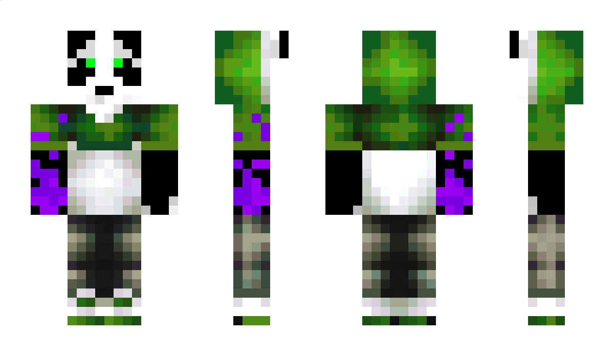 RoiPanda_ Minecraft Skin