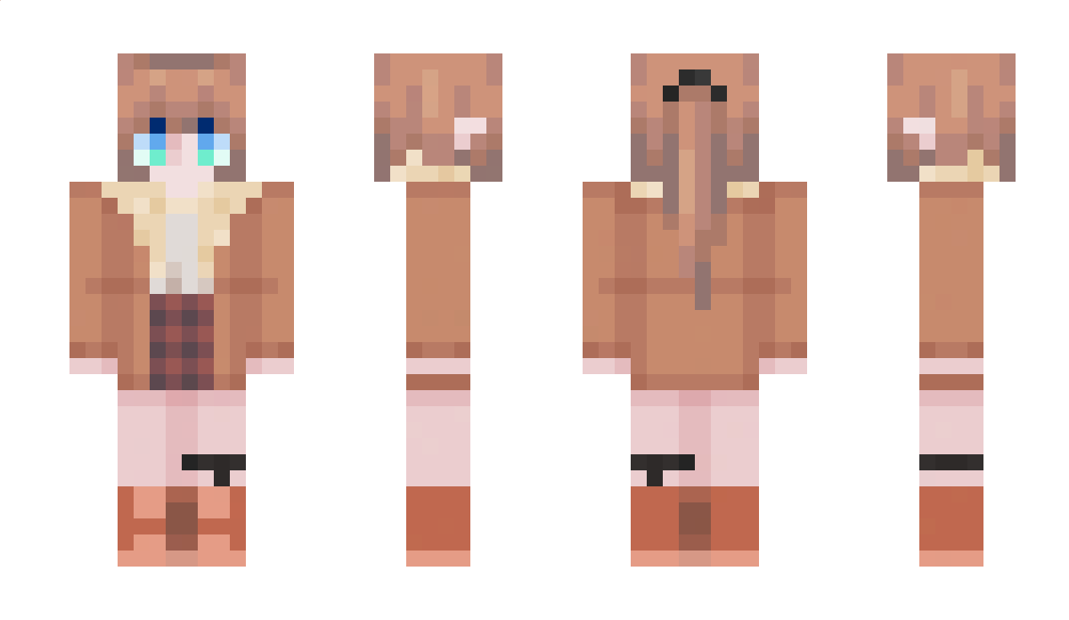 Stray_13 Minecraft Skin