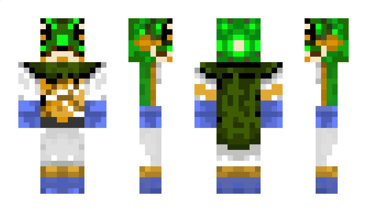 Frogz Minecraft Skin