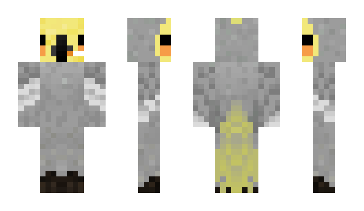 AshVipka Minecraft Skin