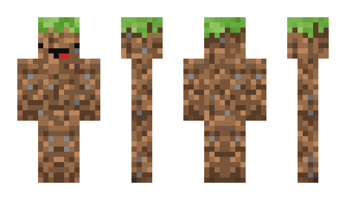 dirt_bockk Minecraft Skin