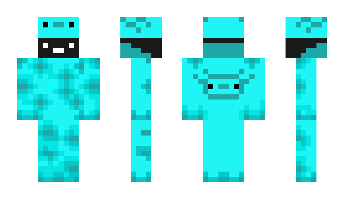 ZimbrasKatinas Minecraft Skin