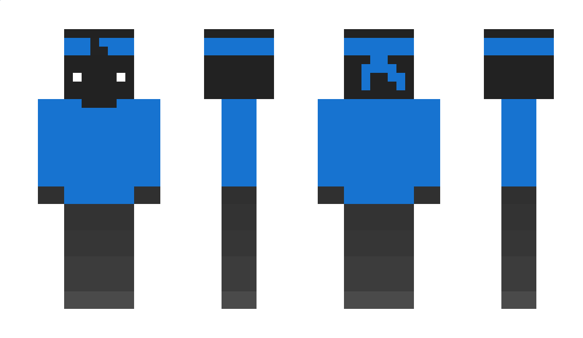 PaLu317 Minecraft Skin