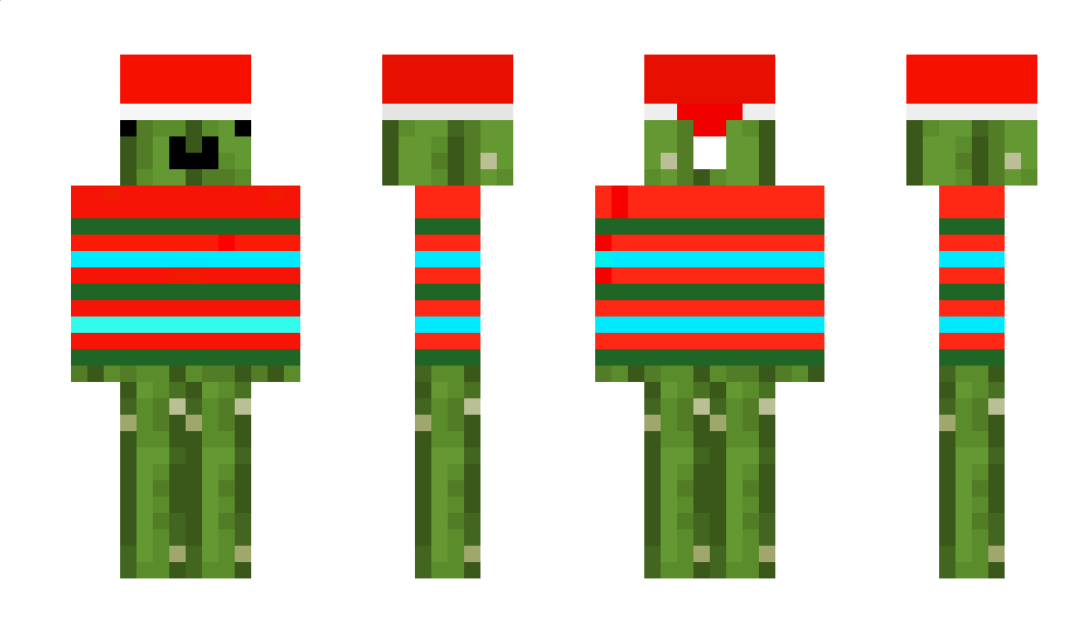 capybara321123 Minecraft Skin