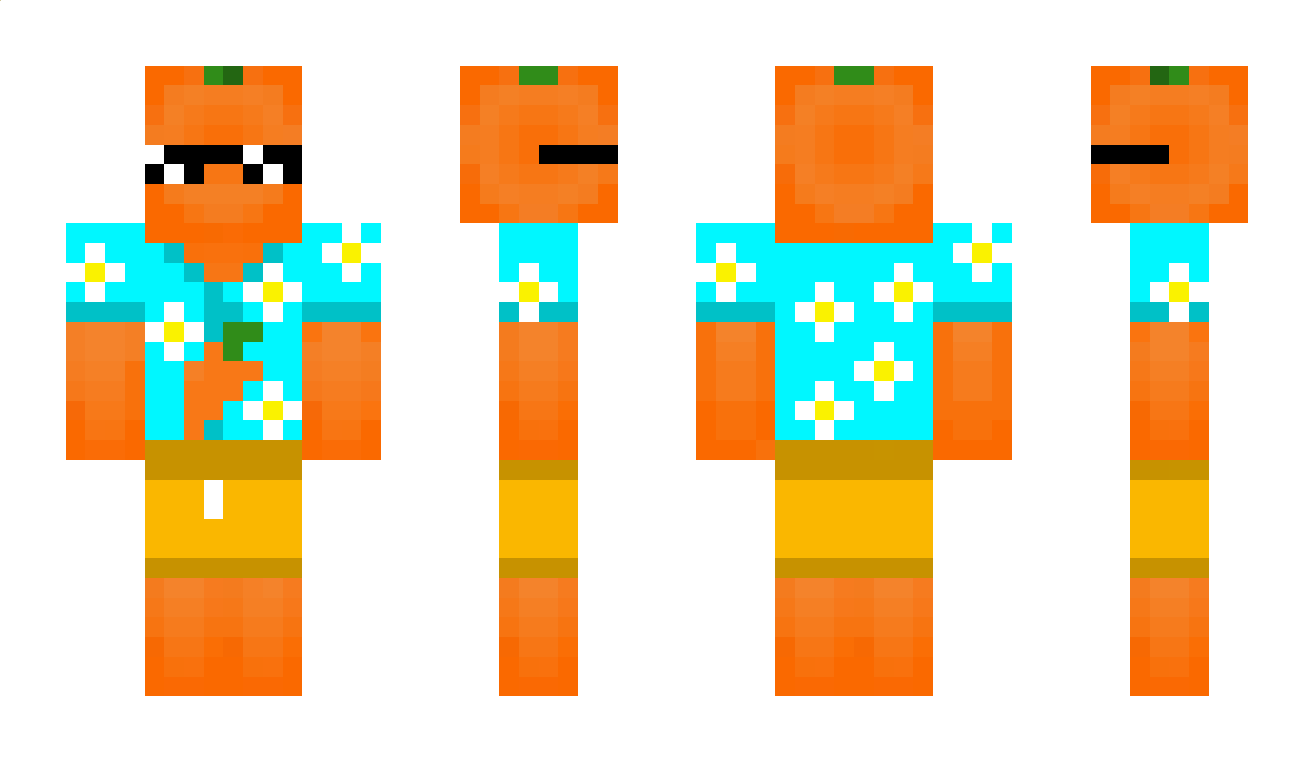 CarotteEnY Minecraft Skin