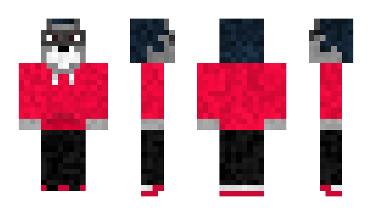 BWisen Minecraft Skin