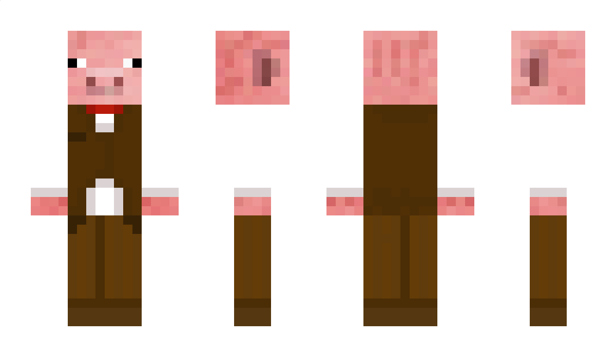 Pigplanes Minecraft Skin