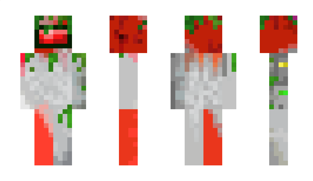 niftyname641 Minecraft Skin