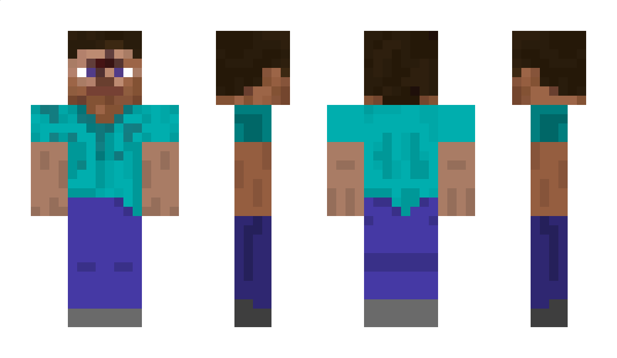 MM14655 Minecraft Skin