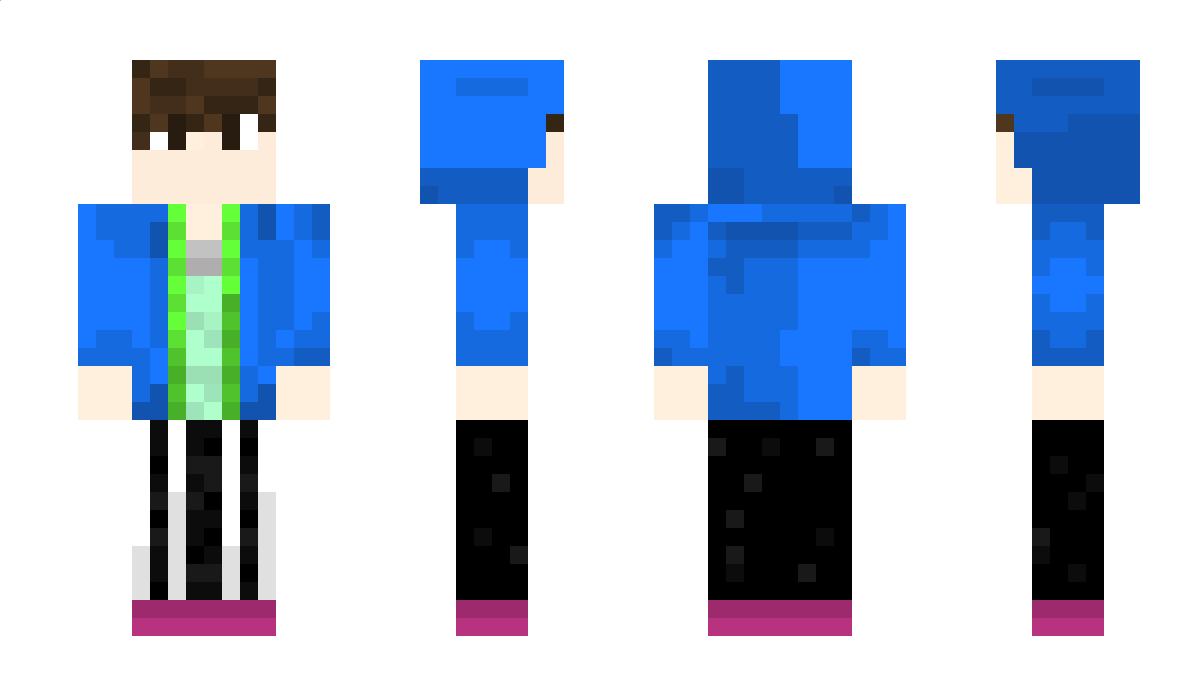 Elytry Minecraft Skin