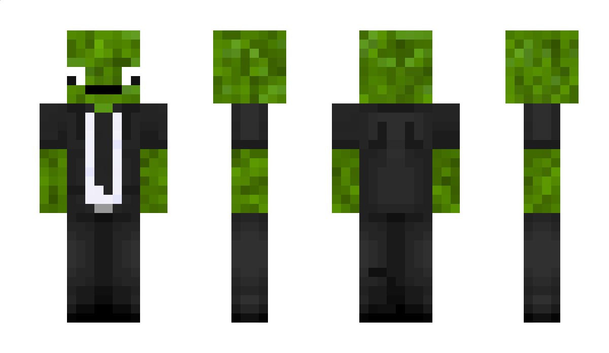 TooMuchCabbage Minecraft Skin