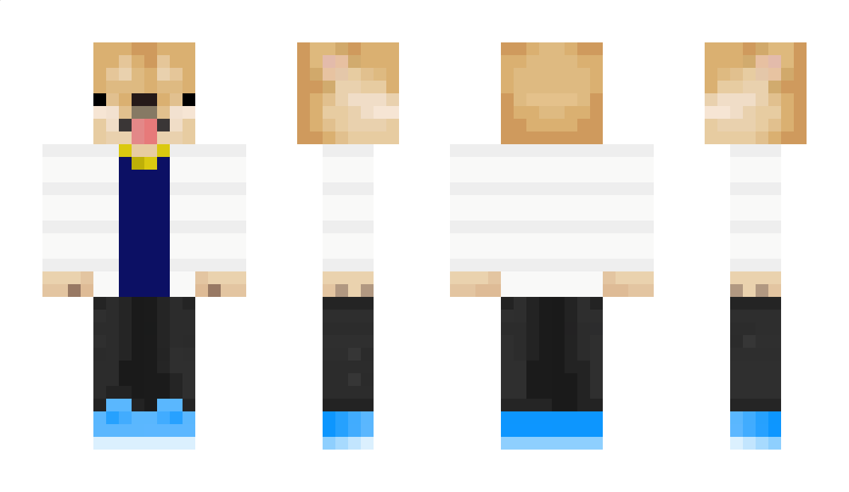 WolfHowl11 Minecraft Skin