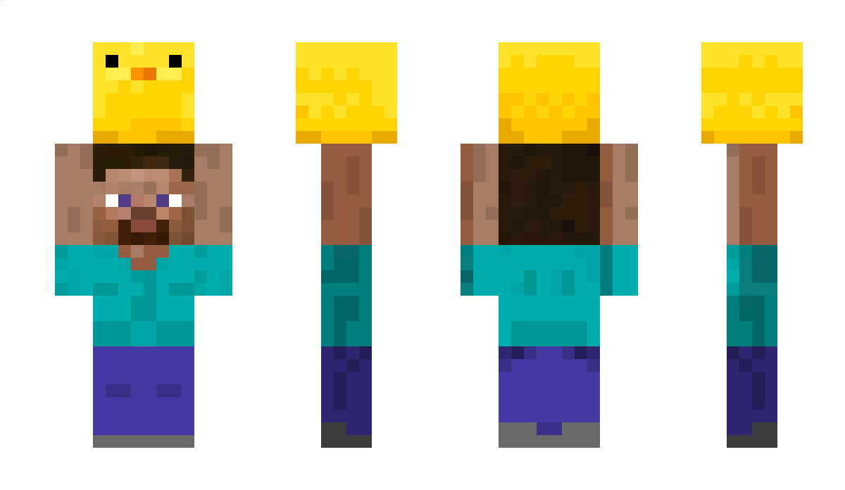 hohobrooo Minecraft Skin