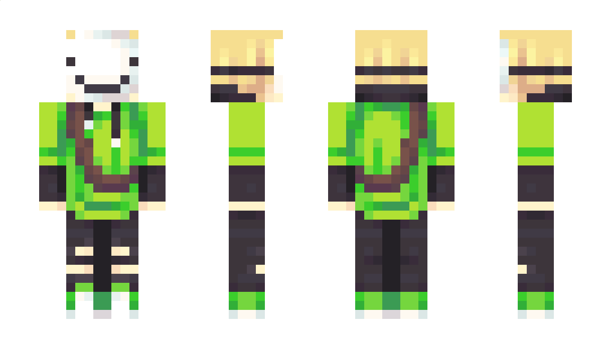 Oliwier2012 Minecraft Skin