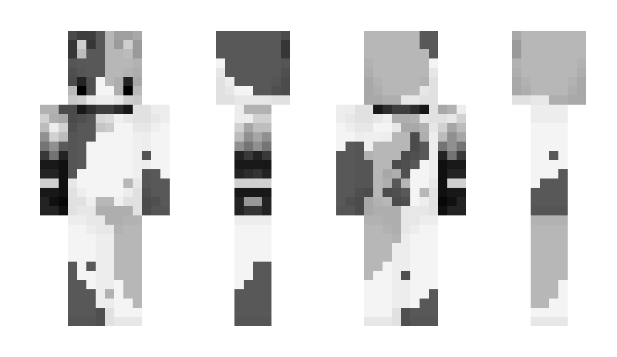 SpeedPlay Minecraft Skin