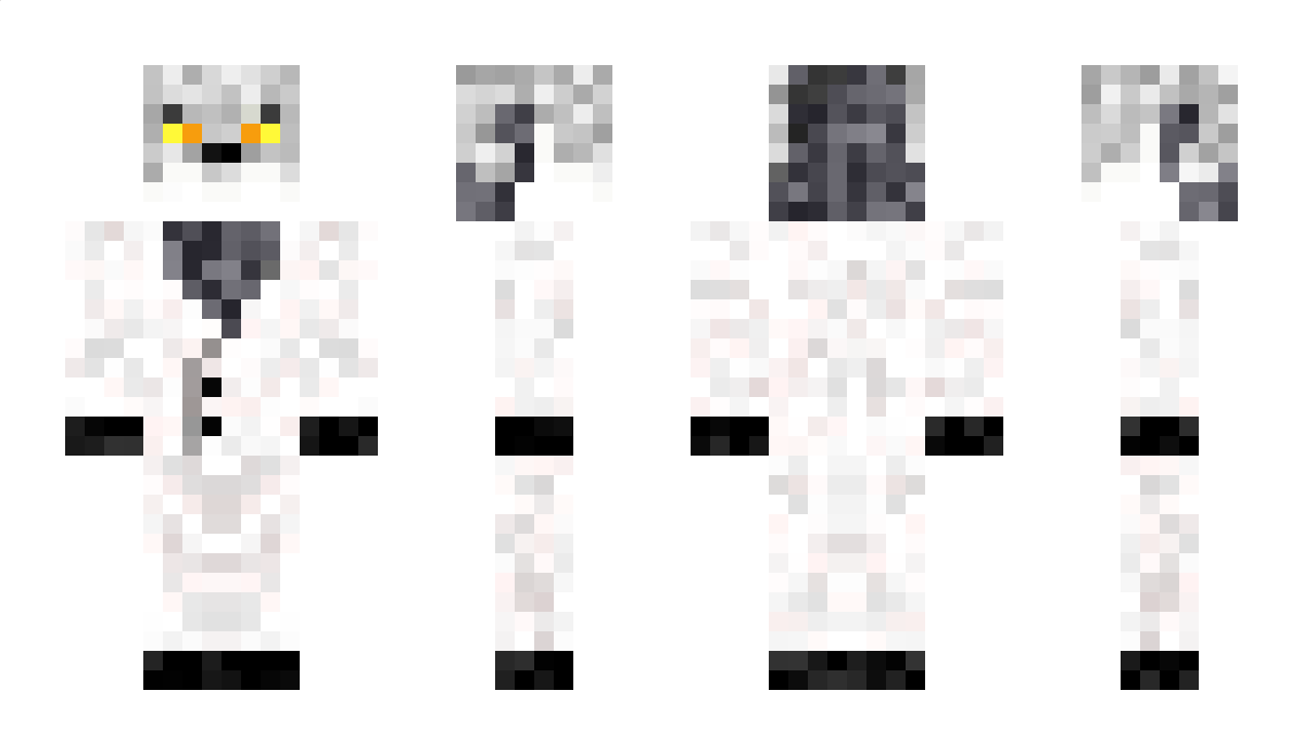 VAVHV Minecraft Skin