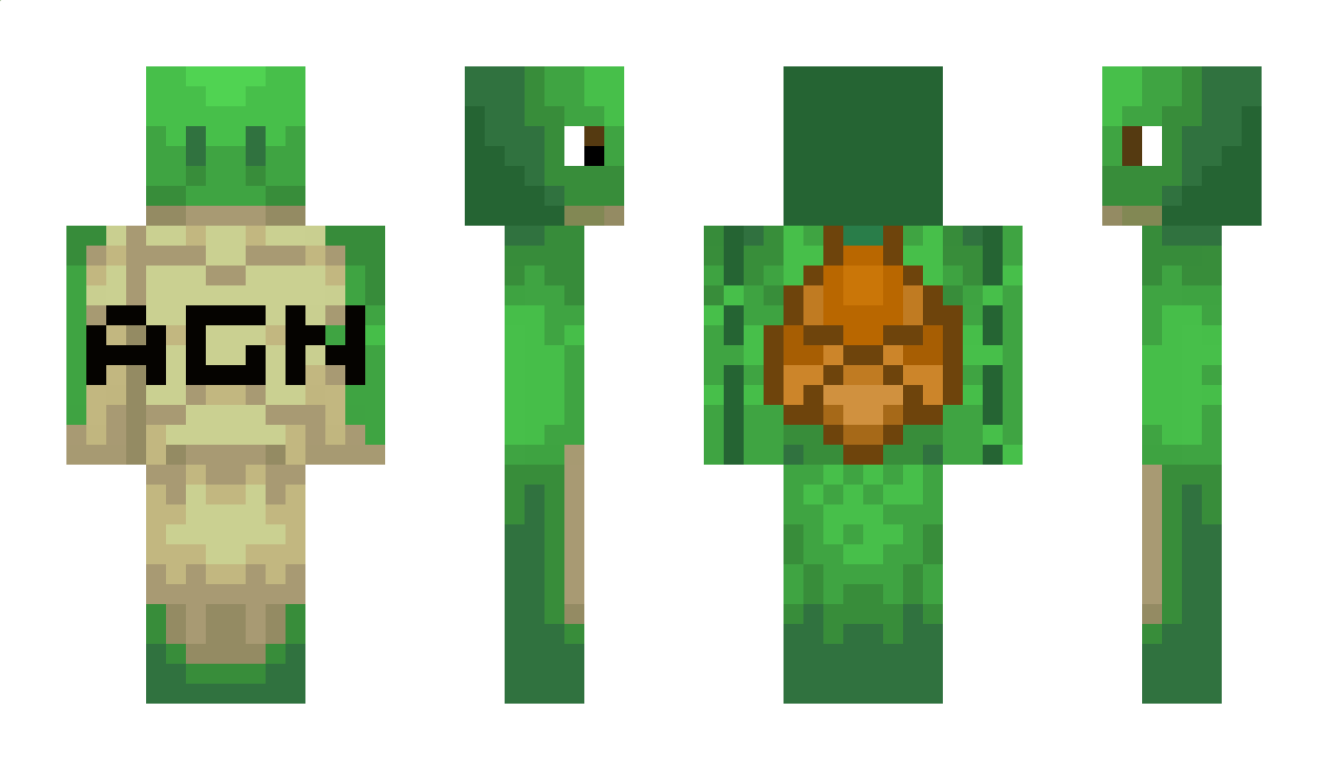 agnturtle Minecraft Skin