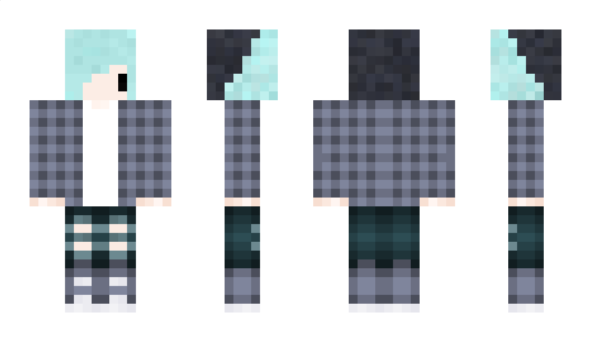 Penguin_YS01 Minecraft Skin