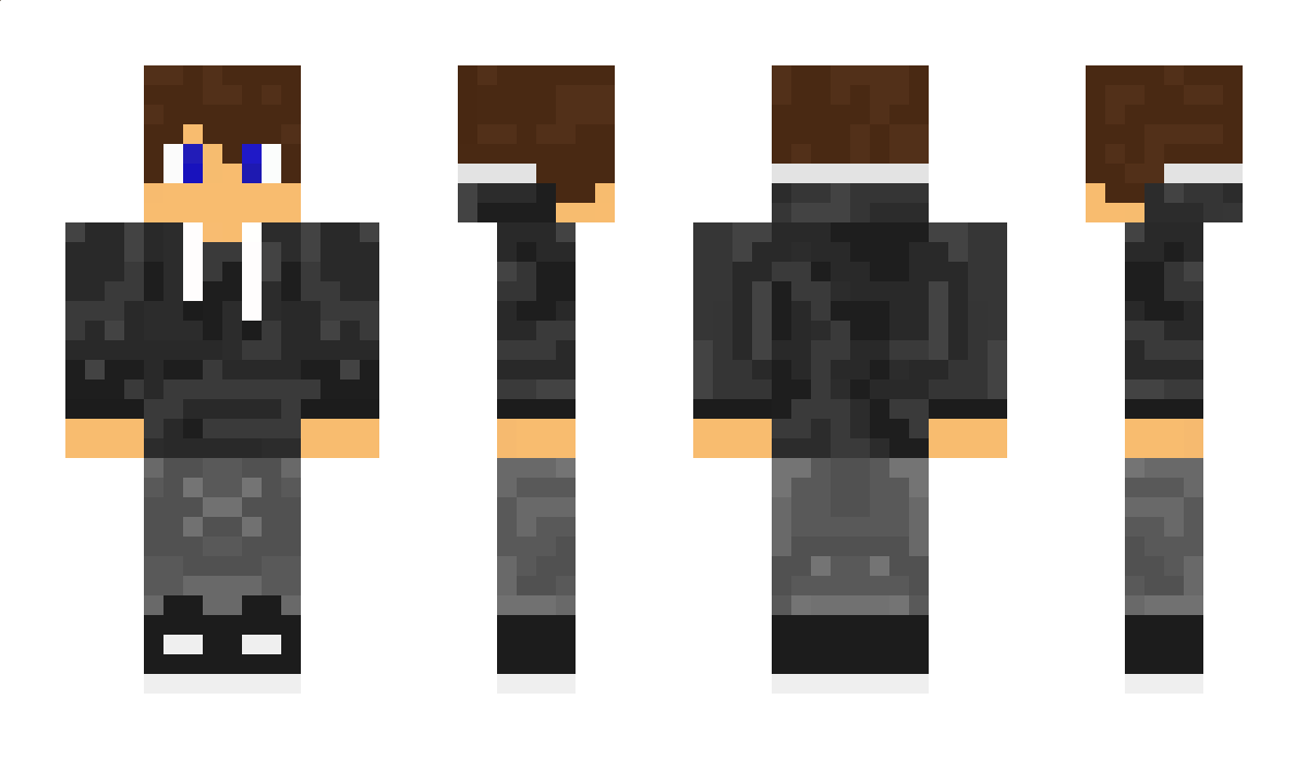 PartyXPinguin Minecraft Skin