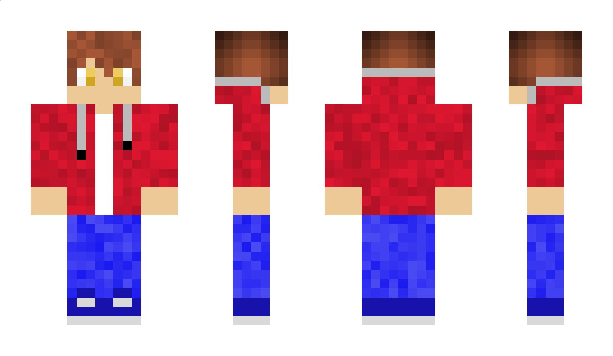 PDC Minecraft Skin