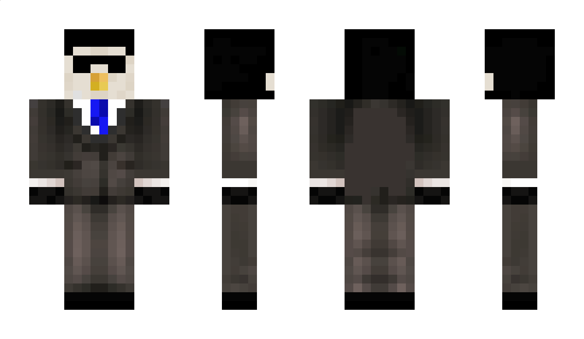 HidenPenguin Minecraft Skin