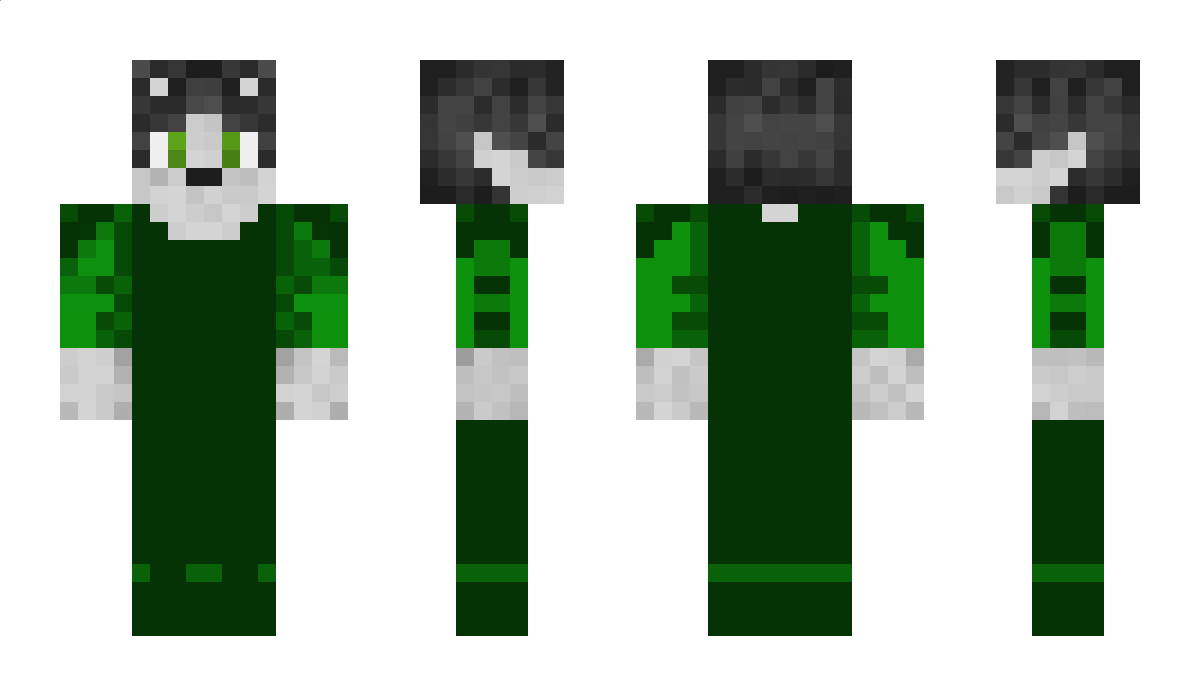 BastiderWolf Minecraft Skin