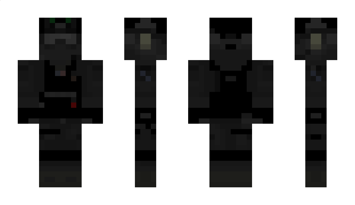 Ninjassault Minecraft Skin