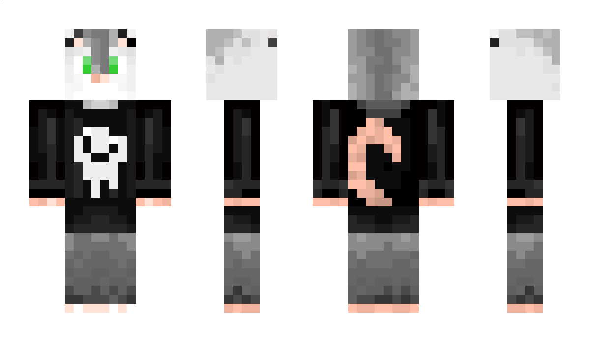 Opossum_ Minecraft Skin