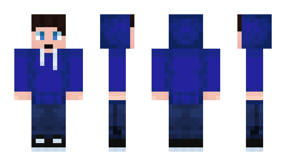 VizualMation Minecraft Skin