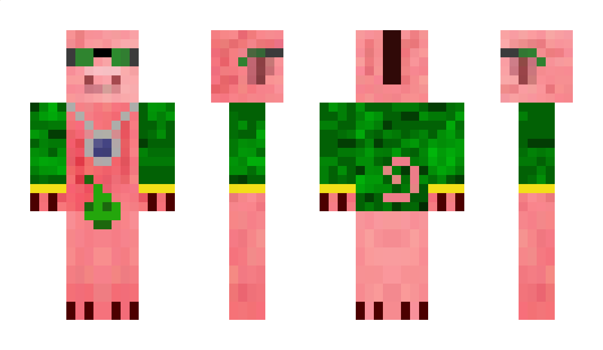 StanKassham Minecraft Skin