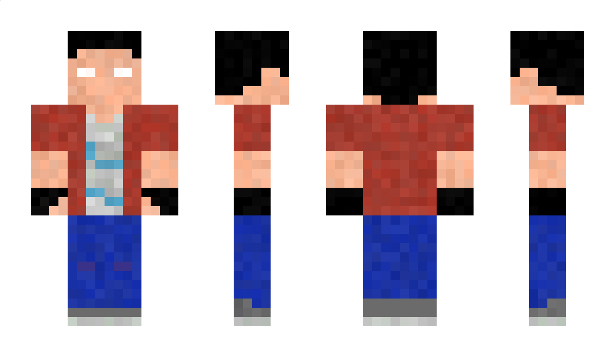 CraftLand Minecraft Skin